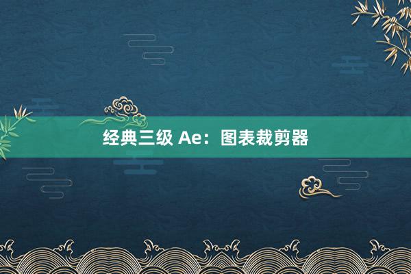 经典三级 Ae：图表裁剪器