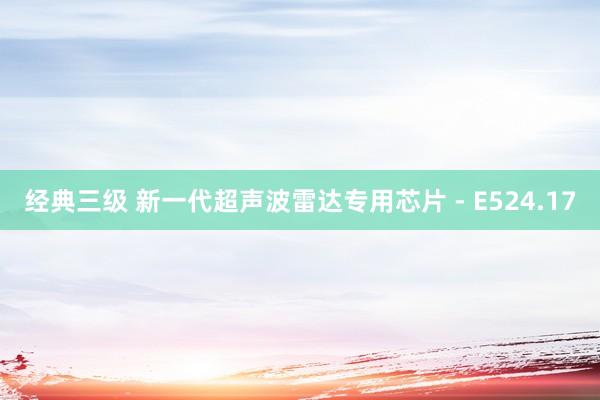 经典三级 新一代超声波雷达专用芯片 - E524.17