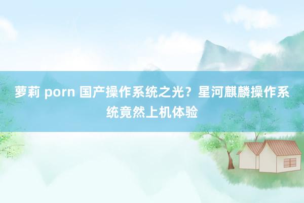 萝莉 porn 国产操作系统之光？星河麒麟操作系统竟然上机体验