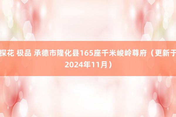 探花 极品 承德市隆化县165座千米峻岭尊府（更新于2024年11月）