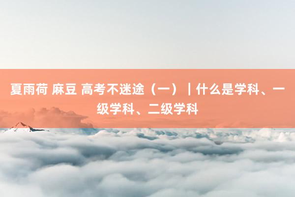 夏雨荷 麻豆 高考不迷途（一）｜什么是学科、一级学科、二级学科