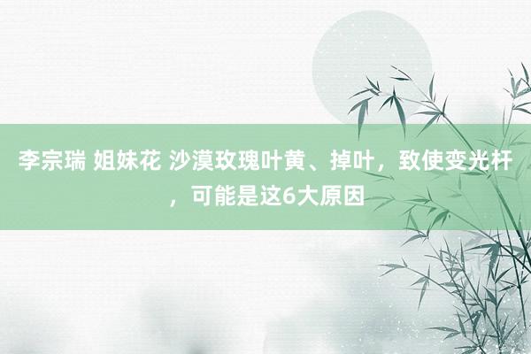 李宗瑞 姐妹花 沙漠玫瑰叶黄、掉叶，致使变光杆，可能是这6大原因