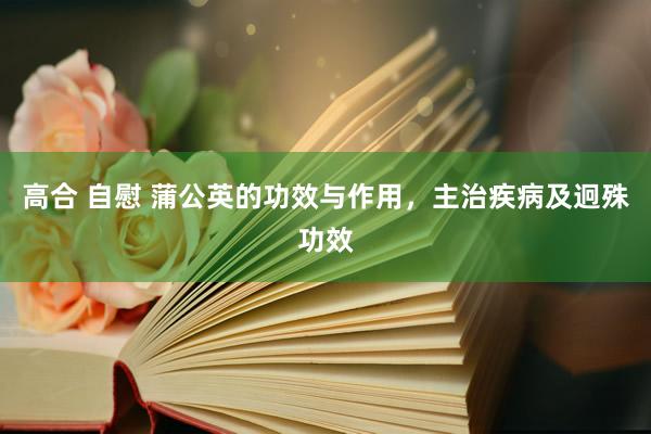 高合 自慰 蒲公英的功效与作用，主治疾病及迥殊功效