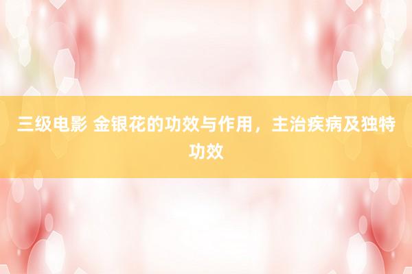 三级电影 金银花的功效与作用，主治疾病及独特功效